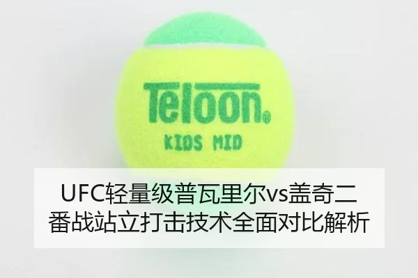 UFC轻量级普瓦里尔vs盖奇二番战站立打击技术全面对比解析