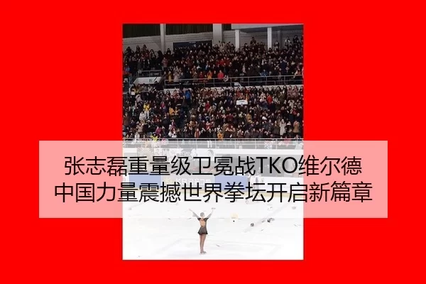 张志磊重量级卫冕战TKO维尔德 中国力量震撼世界拳坛开启新篇章