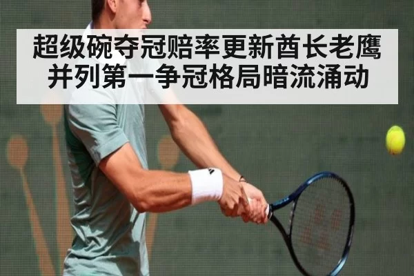 超级碗夺冠赔率更新酋长老鹰并列第一争冠格局暗流涌动